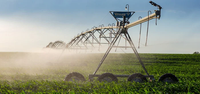 Valley center pivot watering a field in the soft morning light